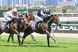 OUR CHIEF RELISHES BACK-UP